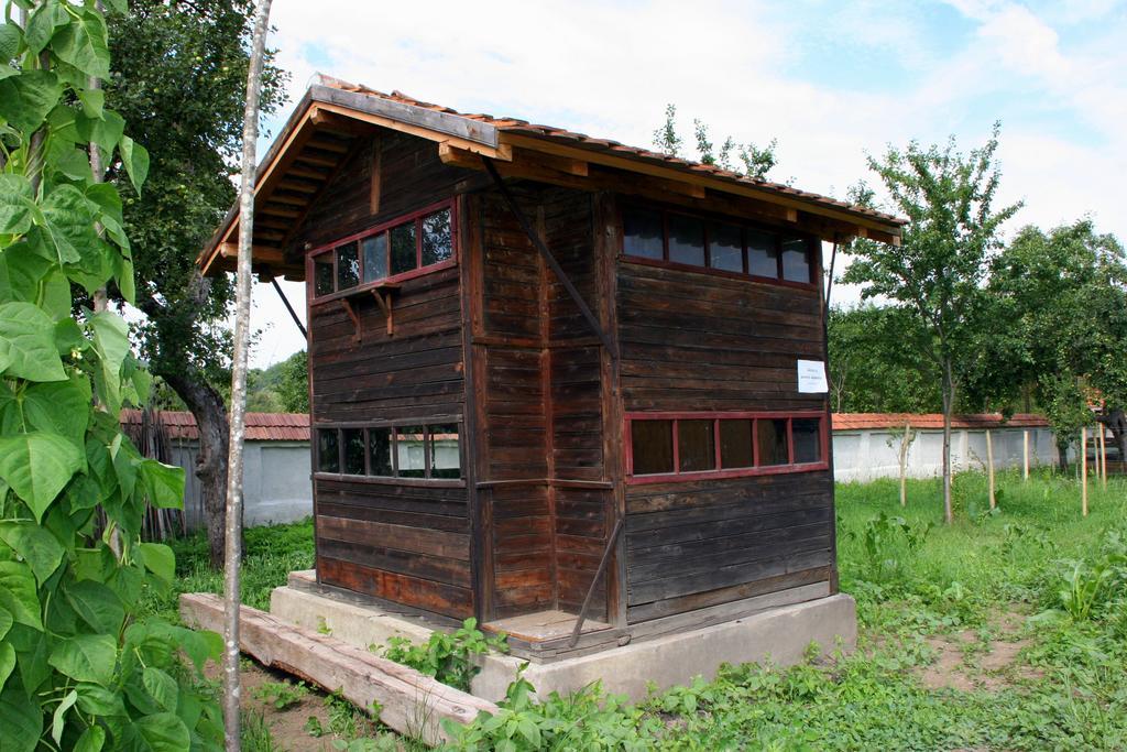 Affittacamere Transylvania *